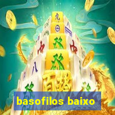 basofilos baixo